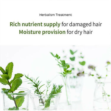 https://cdn.shopify.com/s/files/1/1857/6931/files/adfKjjZaGm.jpg?v=1731656585